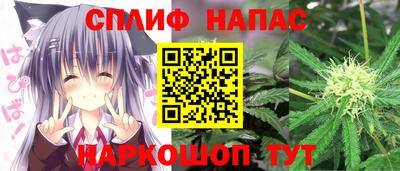 МДПВ Краснознаменск