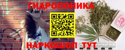 прущий лед Будённовск