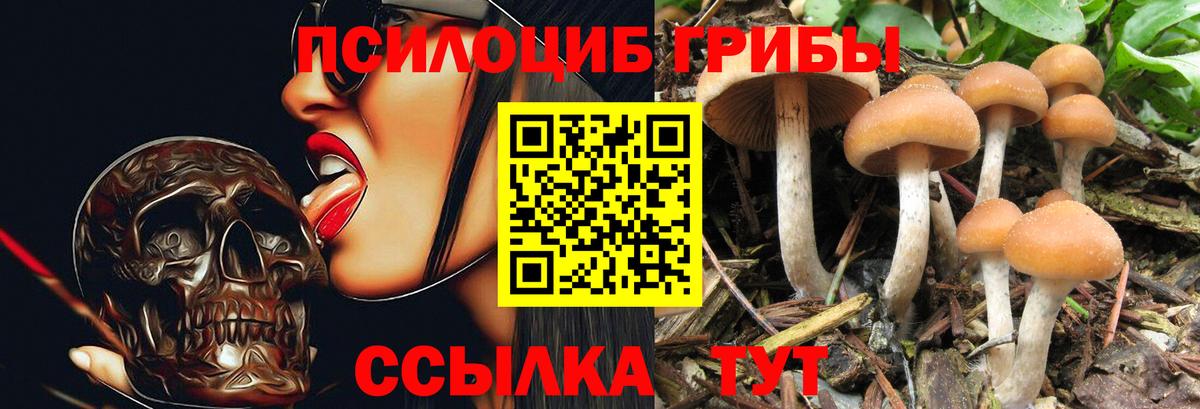 Заринск  Галлюциногенные грибы мухоморы  Вход с VPN 